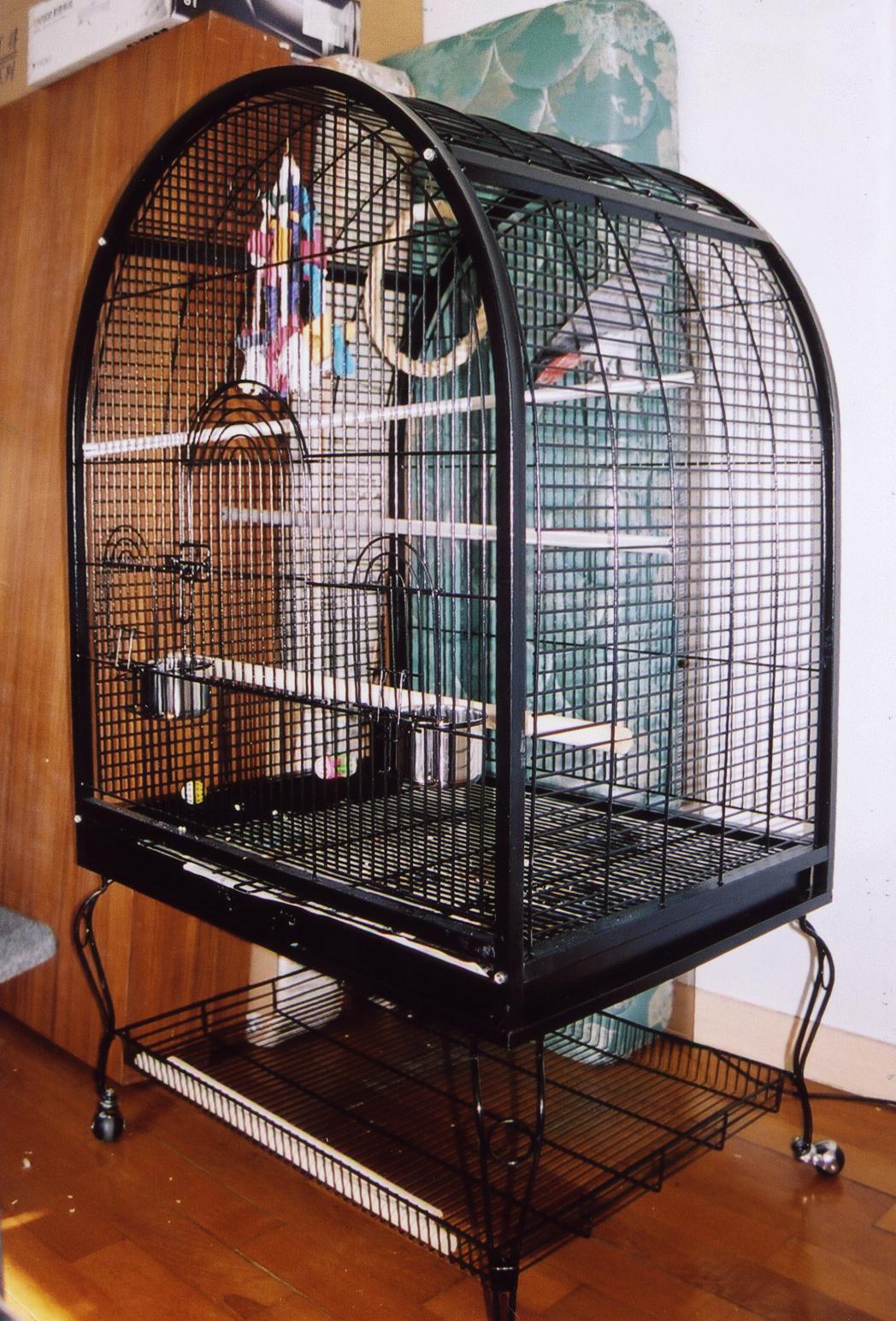 Sam Ritchie - Family Photos